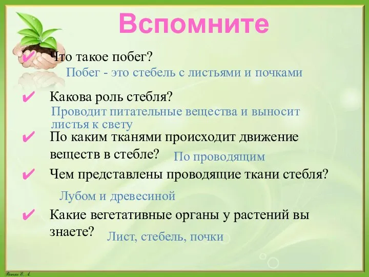 Вспомните Что такое побег? Какова роль стебля? По каким тканями происходит движение