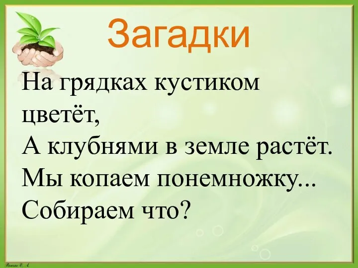 Загадки На грядках кустиком цветёт, А клубнями в земле растёт. Мы копаем понемножку... Собираем что?