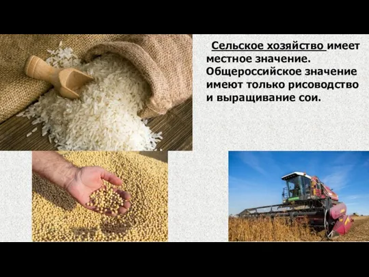 Сельское хозяйство имеет местное значение. Общероссийское значение имеют только рисоводство и выращивание сои.