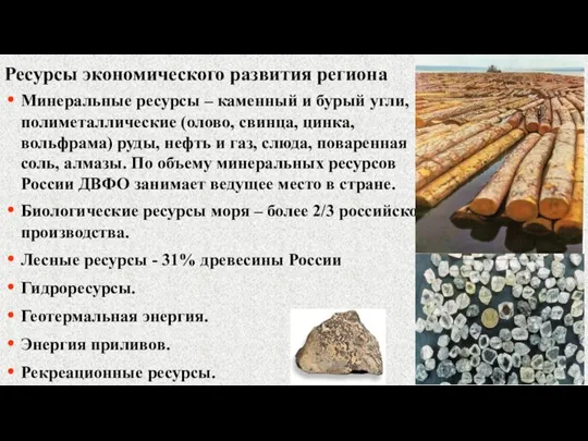 Минеральные ресурсы – каменный и бурый угли, полиметаллические (олово, свинца, цинка, вольфрама)