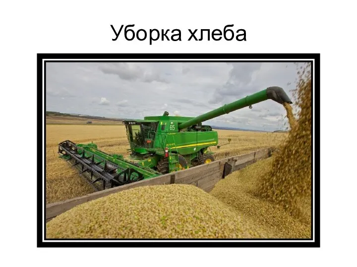 Уборка хлеба