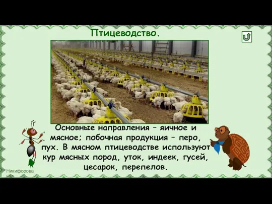 Птицеводство. Основные направления – яичное и мясное; побочная продукция – перо, пух.