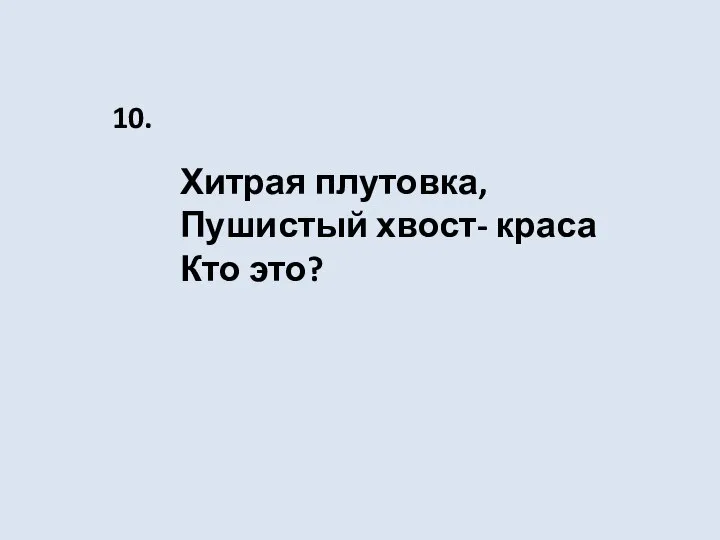 Хитрая плутовка, Пушистый хвост- краса Кто это? 10.