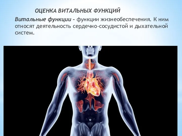 ОЦЕНКА ВИТАЛЬНЫХ ФУНКЦИЙ Витальные функции – функции жизнеобеспечения. К ним относят деятельность сердечно-сосудистой и дыхательной систем.