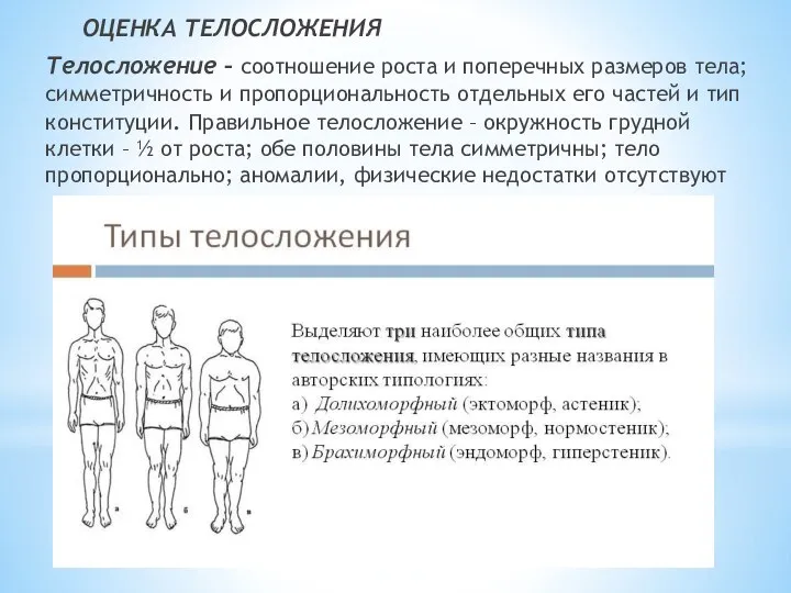 ОЦЕНКА ТЕЛОСЛОЖЕНИЯ Телосложение – соотношение роста и поперечных размеров тела; симметричность и