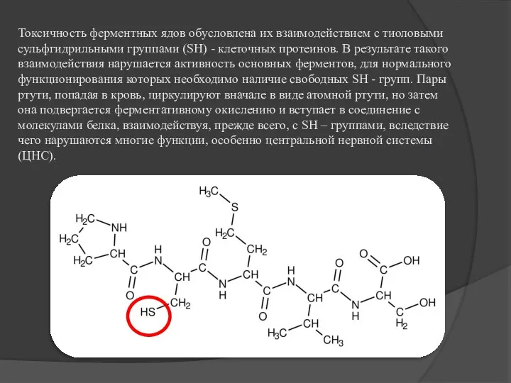 Токсичность ферментных ядов обусловлена их взаимодействием с тиоловыми сульфгидрильными группами (SH) -