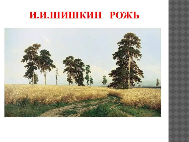 И.И.ШИШКИН РОЖЬ