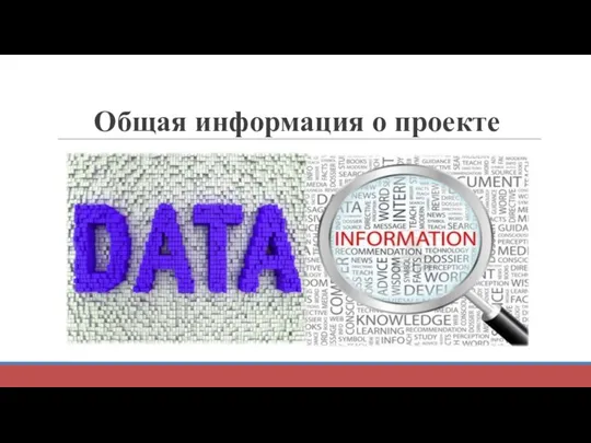 Общая информация о проекте