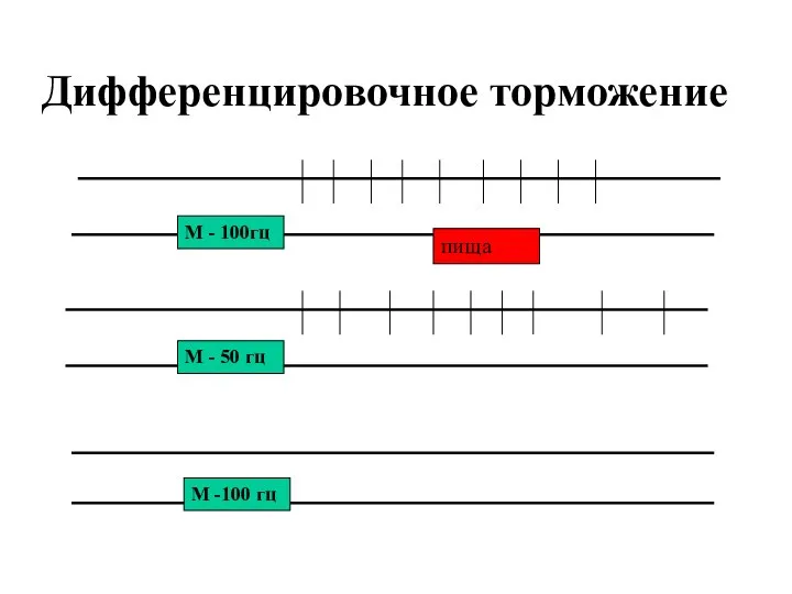 Дифференцировочное торможение