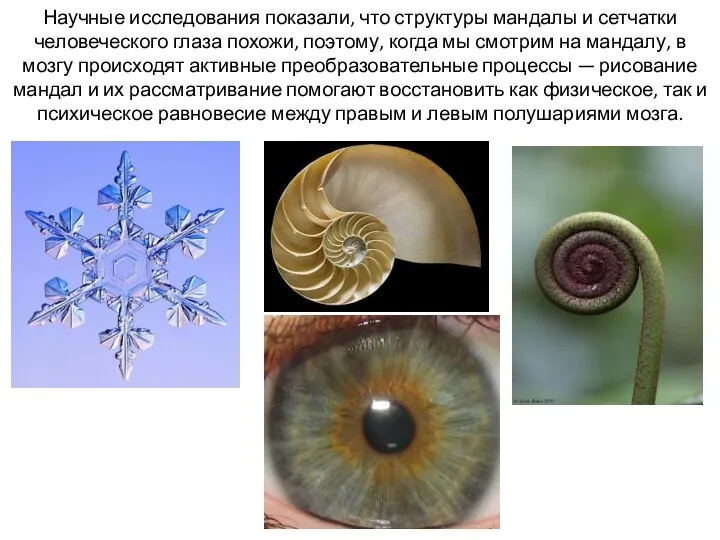 Научные исследования показали, что структуры мандалы и сетчатки человеческого глаза похожи, поэтому,