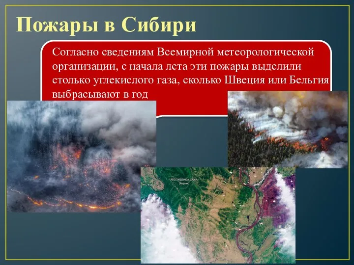 Пожары в Сибири Согласно сведениям Всемирной метеорологической организации, с начала лета эти