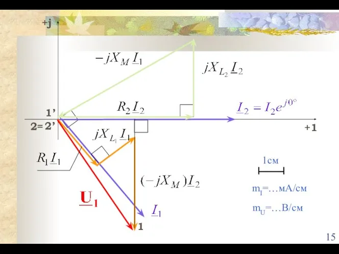 1’ 2= 1 2’ 1см mU=…B/см mI=…мА/см