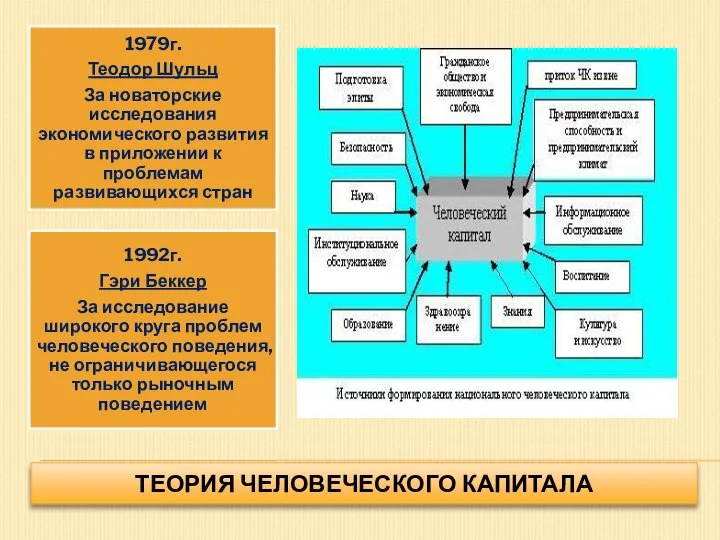 ТЕОРИЯ ЧЕЛОВЕЧЕСКОГО КАПИТАЛА