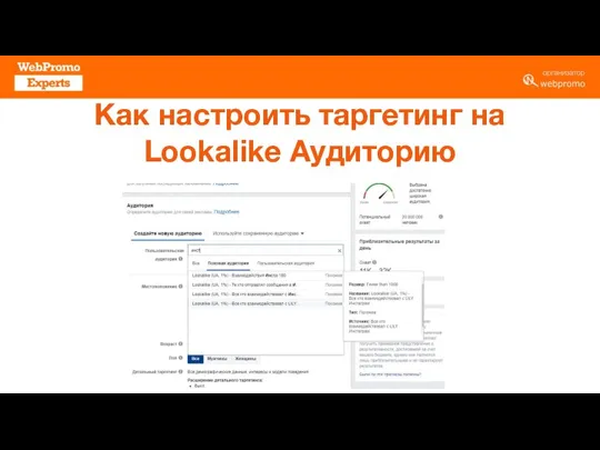 Как настроить таргетинг на Lookalike Аудиторию