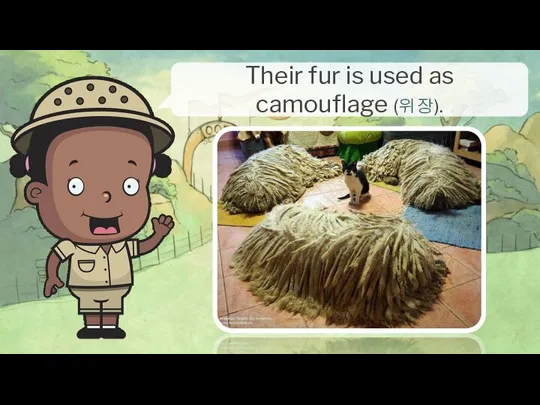 Their fur is used as camouflage (위장).