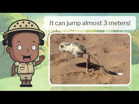 It can jump almost 3 meters!