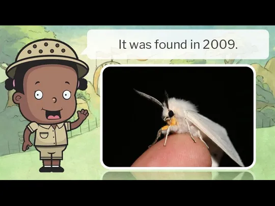 It was found in 2009.