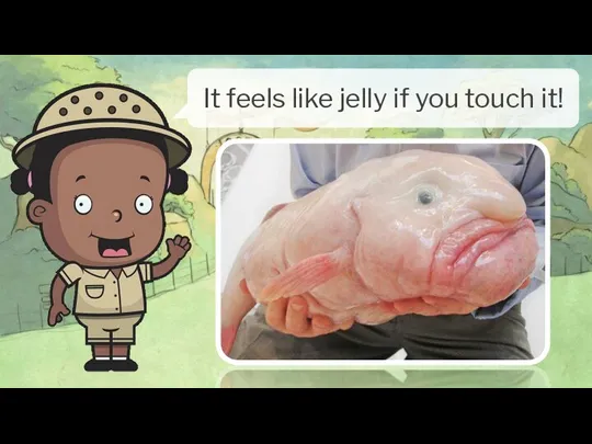 It feels like jelly if you touch it!