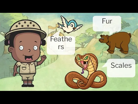 Scales Fur Feathers