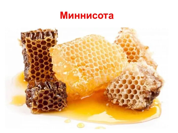 Миннисота