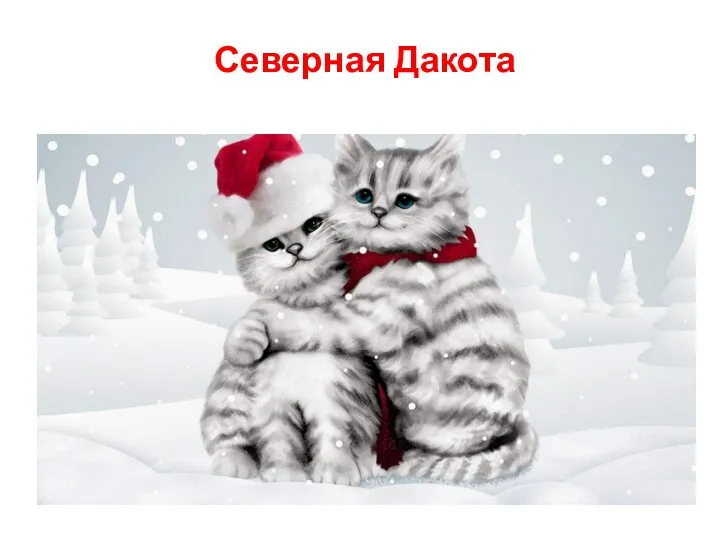 Северная Дакота