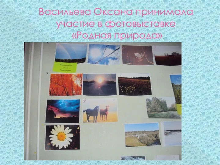 Васильева Оксана принимала участие в фотовыставке «Родная природа»