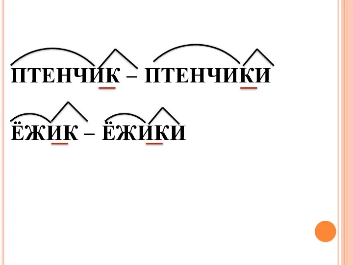 ПТЕНЧИК – ПТЕНЧИКИ ЁЖИК – ЁЖИКИ