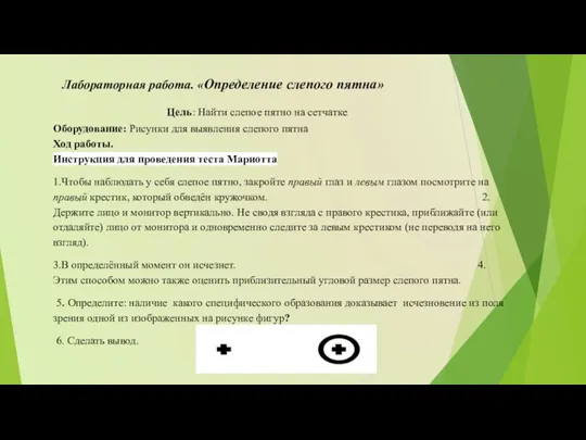 Лабораторная работа. «Определение слепого пятна» Цель: Найти слепое пятно на сетчатке. Оборудование: