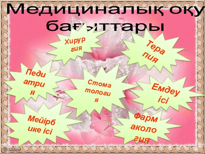 Медициналық оқу бағыттары Хирургия Педиатрия Мейірбике ісі Терапия Стоматология Фармакология Емдеу ісі