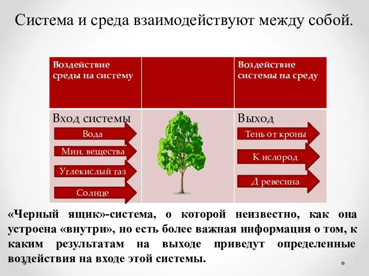 Система и среда взаимодействуют между собой. Д ревесина К ислород Тень от