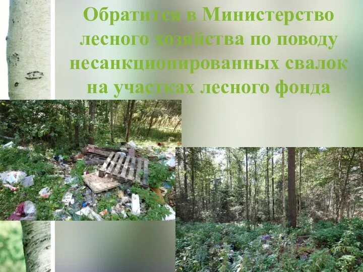 Обратится в Министерство лесного хозяйства по поводу несанкционированных свалок на участках лесного фонда