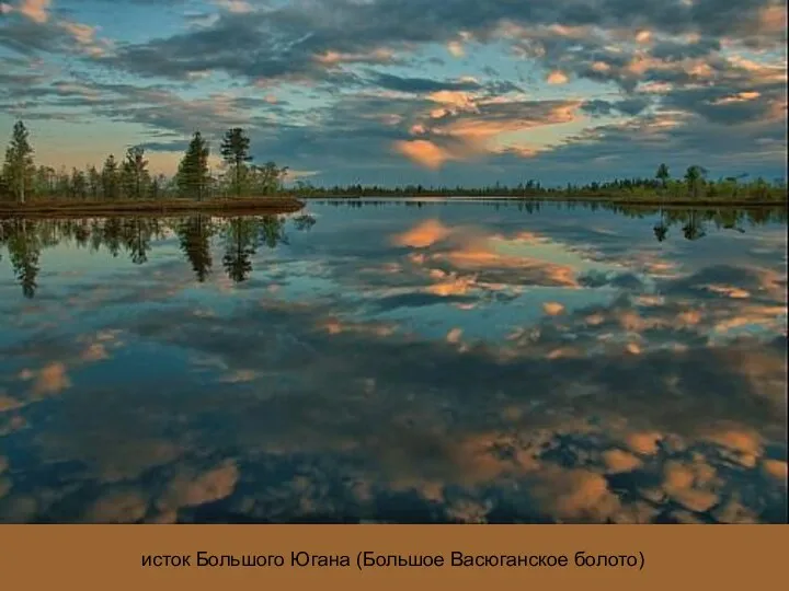 исток Большого Югана (Большое Васюганское болото)