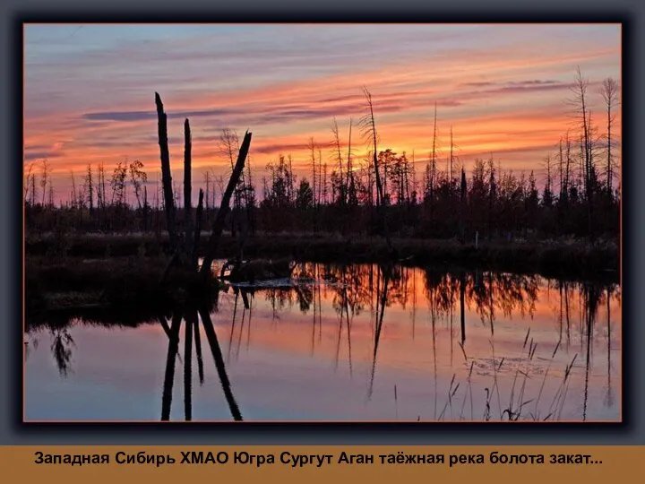 Западная Сибирь ХМАО Югра Сургут Аган таёжная река болота закат...