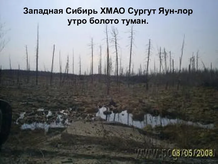 Западная Сибирь ХМАО Сургут Яун-лор утро болото туман.