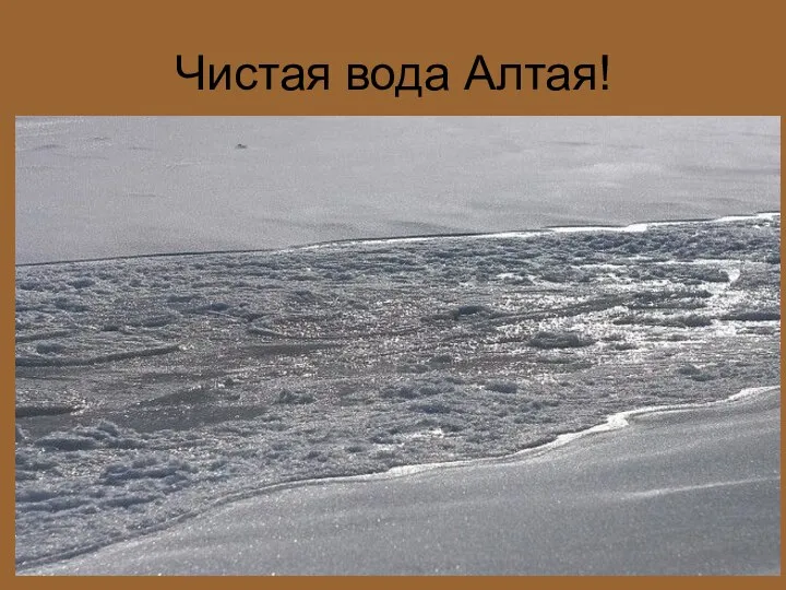 Чистая вода Алтая!