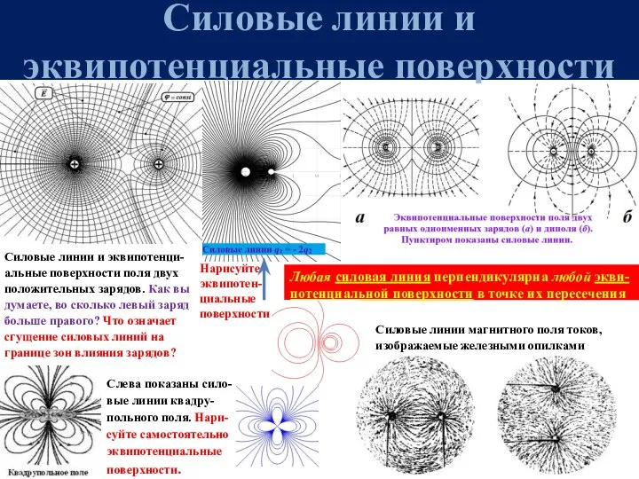 Силовые линии и эквипотенциальные поверхности Силовые линии и эквипотенци-альные поверхности поля двух