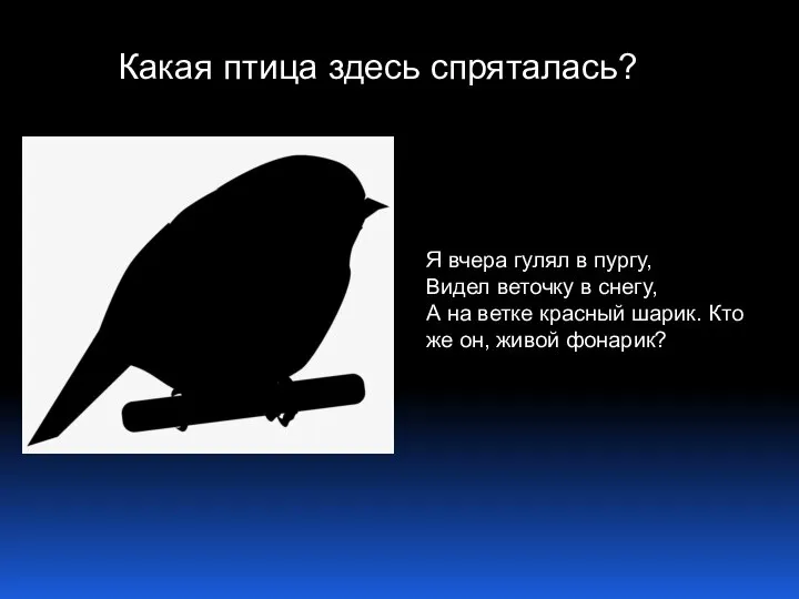 Я вчера гулял в пургу, Видел веточку в снегу, А на ветке