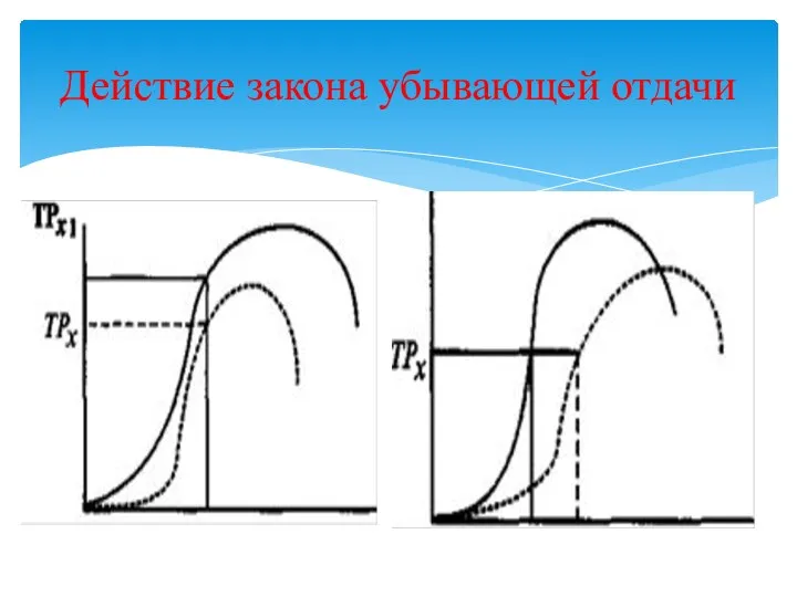 Действие закона убывающей отдачи