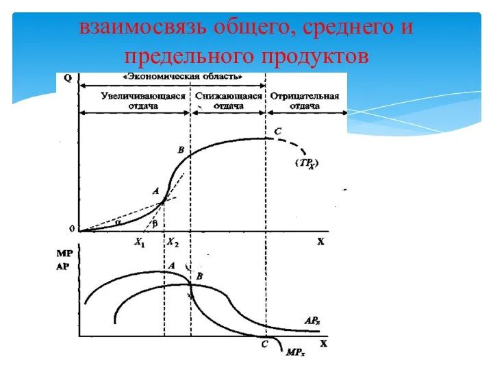 взаимосвязь общего, среднего и предельного продуктов