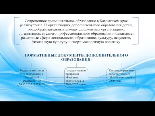 Современное дополнительное образование в Камчатском крае реализуется в 77 организациях дополнительного образования