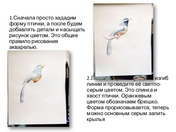 1.Сначала просто зададим форму птички, а после будем добавлять детали и насыщать