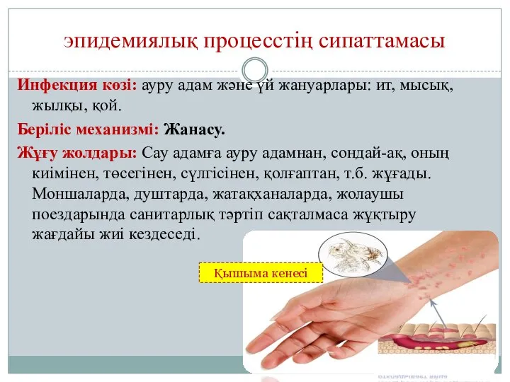 эпидемиялық процесстің сипаттамасы Инфекция көзі: ауру адам және үй жануарлары: ит, мысық,