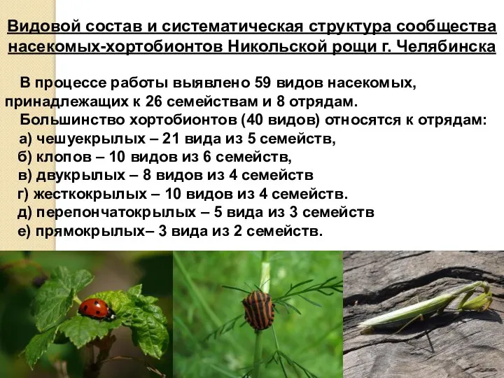Видовой состав и систематическая структура сообщества насекомых-хортобионтов Никольской рощи г. Челябинска В