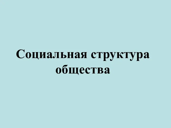 Социальная структура общества