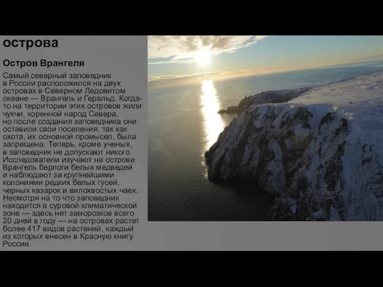 Заповедные острова Остров Врангеля Самый северный заповедник в России расположился на двух