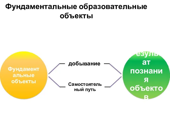 Фундаментальные образовательные объекты