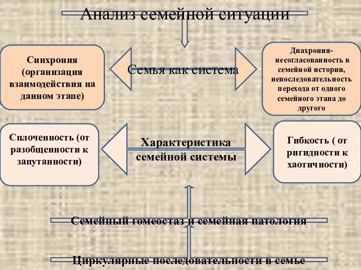 Семья как система Анализ семейной ситуации Синхрония (организация взаимодействия на данном этапе)