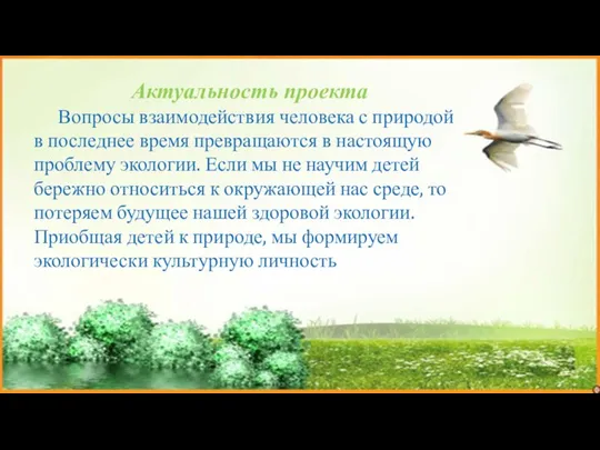 Актуальность проекта Вопросы взаимодействия человека с природой в последнее время превращаются в