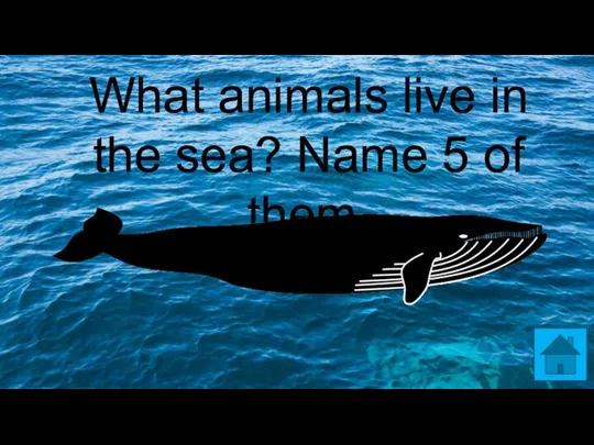What animals live in the sea? Name 5 of them.