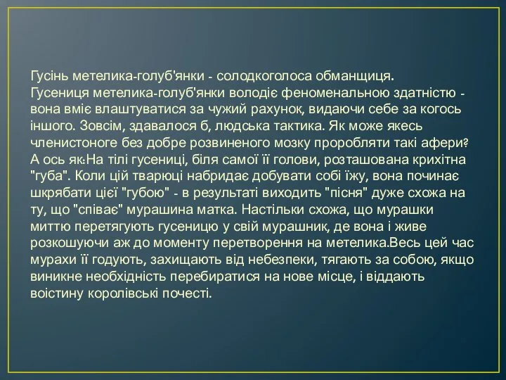 Гусінь метелика-голуб'янки - солодкоголоса обманщиця. Гусениця метелика-голуб'янки володіє феноменальною здатністю - вона